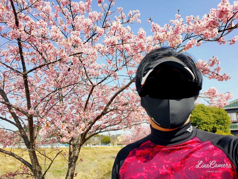 春を探すウォーキング（時々ジョグ）