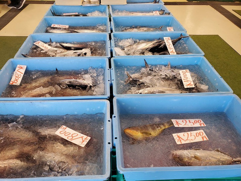 御前崎で美味しい魚を買うツーリング