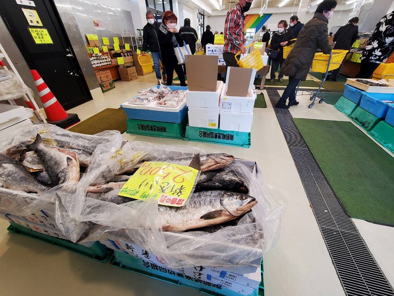 御前崎で美味しい魚を買うツーリング