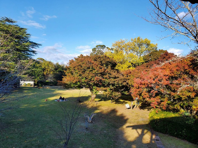 鳥羽山公園の紅葉　ツーリング　24.11.30