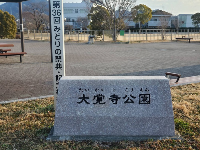 駿河屋へハイコンプロとポケカを売りに行く