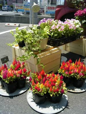 土曜日のできごと