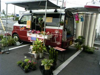 父の日にお花をどうぞ！