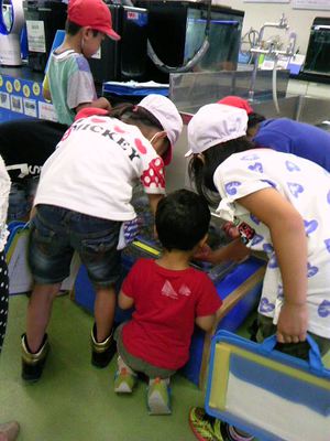 お花とお茶とお団子と！