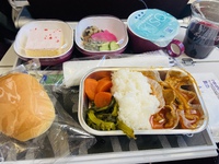 【タイ旅行⠀】 飛行機〜到着まで