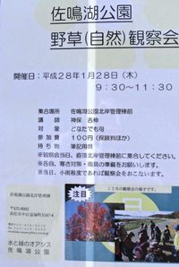 佐鳴湖のイベント情報