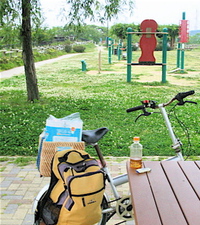 Always Yes to Peace 2014/09/01 20:34:47