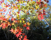 Yes to Peace !!! 2014/12/07 21:09:21