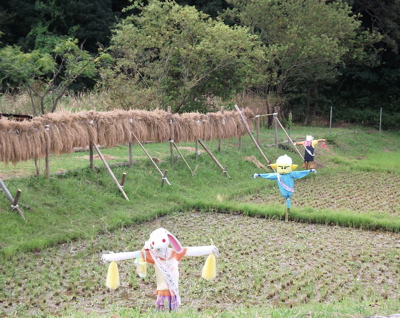 佐鳴湖のお米