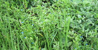 Yes to Peace !! 2014/10/07 10:06:32