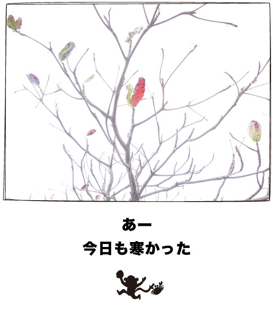 今日も一日