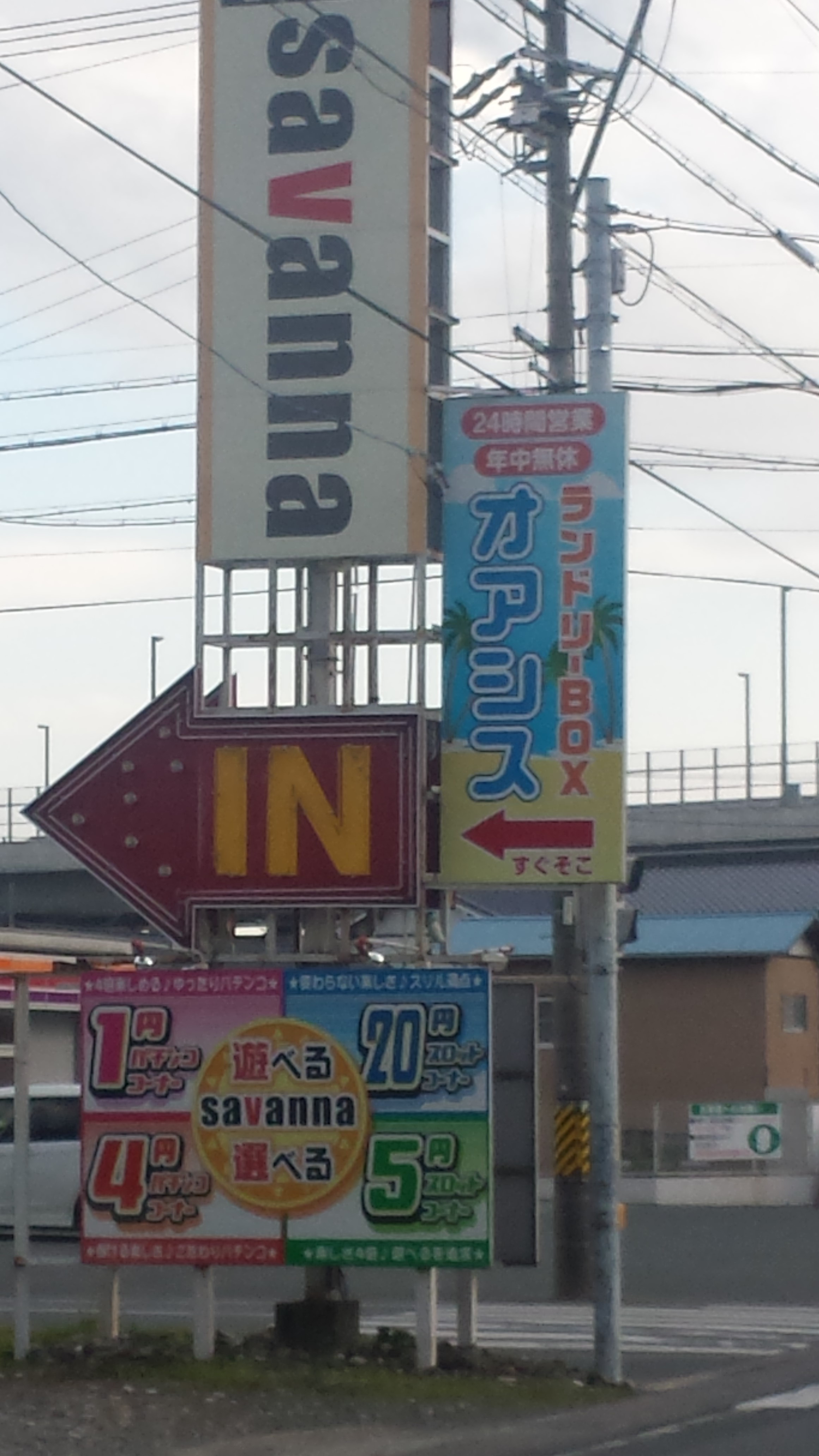 ２０１５年　　　ひつじのとし　　　１月２日（金）