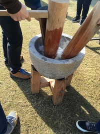Jリーグ最終節は優勝争いと残留争いに注目！ 2019/12/07 10:38:57