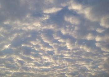 9月になって