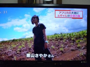 SBSテレビ　