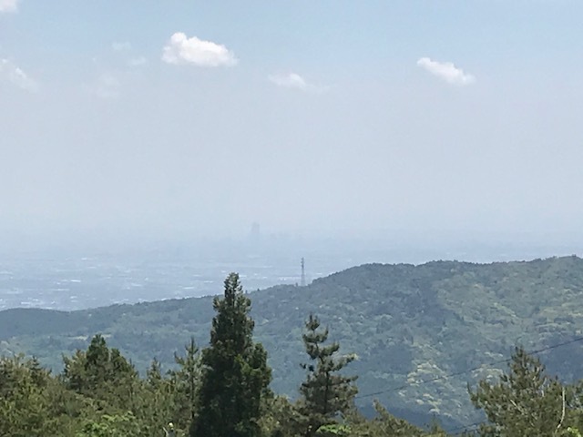 キンラン ギンラン ＠ 富幕山