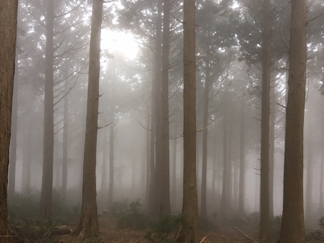 万三郎岳