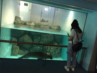 社会人1年目の夏休み☆ 2015/09/08 22:01:04