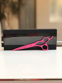 PINK FLAMINGO 2019/07/04 19:28:00