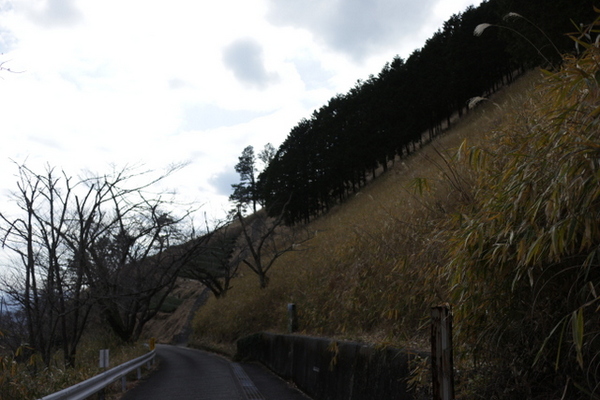 三回目のトレッキングin粟ヶ岳