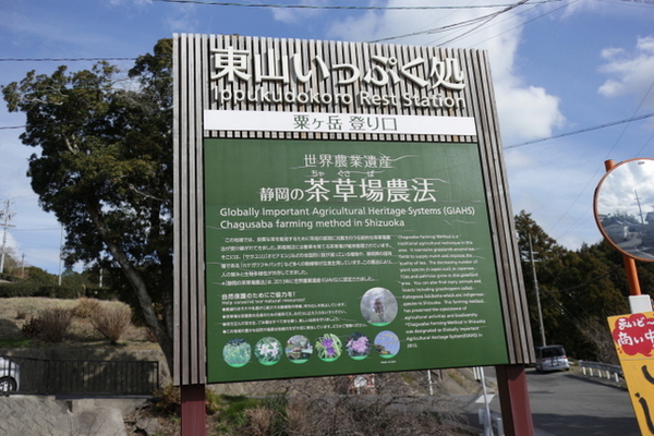 三回目のトレッキングin粟ヶ岳