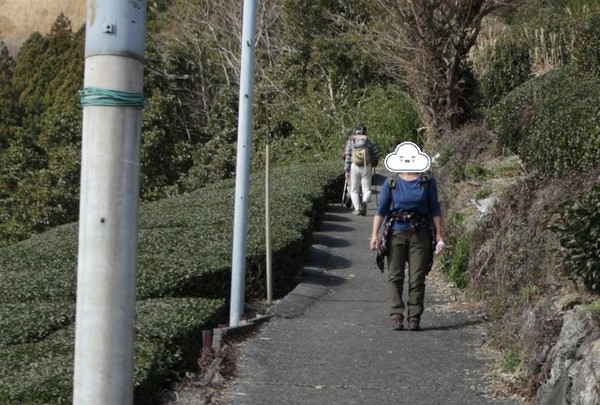 三回目のトレッキングin粟ヶ岳