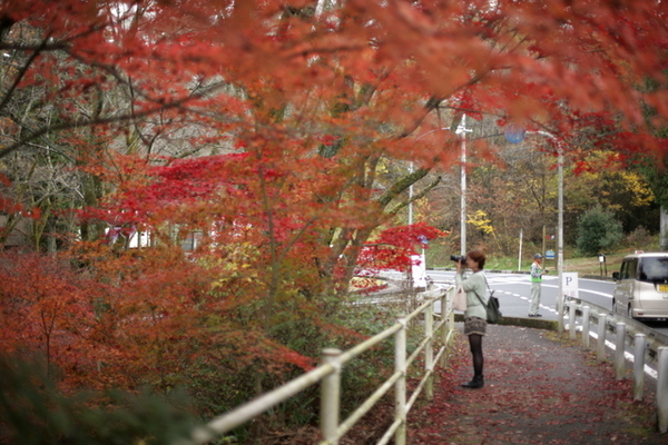 紅葉狩り　恵那峡