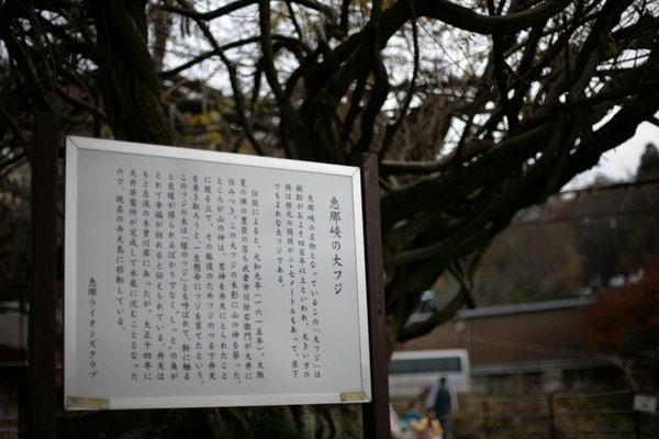 紅葉狩り　恵那峡