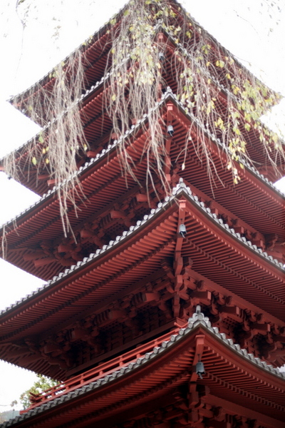 身延山久遠寺を訪ねる。