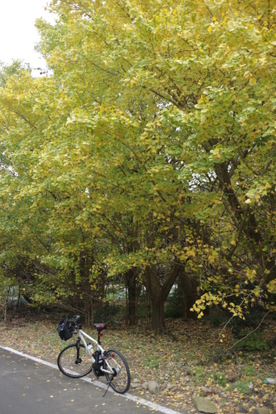 サイクリング　in　小笠山鉄塔