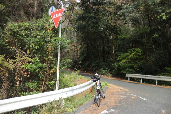 サイクリング　in　小笠山鉄塔