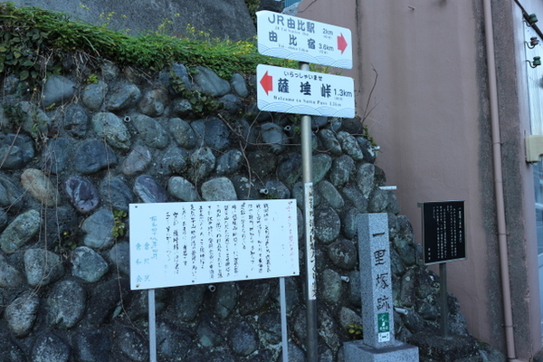 トレッキング in 薩埵峠（さったとうげ）