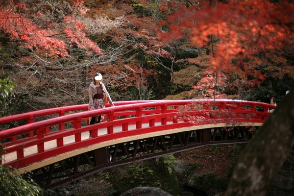 岩屋堂公園に行ってきました。