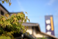 11/26 有玉本店　臨時休業致します。 2020/11/25 19:06:54