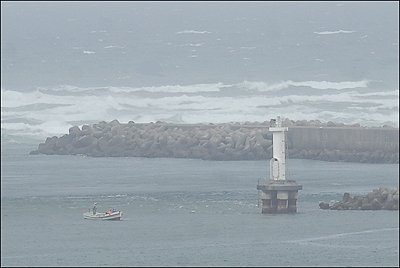 ６月１９日　【今日の舞阪シラス漁。】