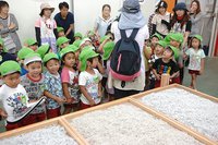 舞阪幼稚園しらす探検隊　冷たいほっぺがゆるんだよ