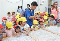 舞阪幼稚園しらす探検隊　海の宝物モグモグの部屋