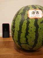 初物 2019/07/15 06:29:49