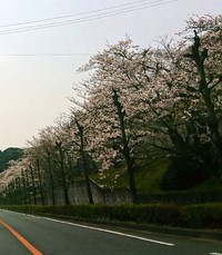 ３月も終わり... 2018/03/31 08:44:41