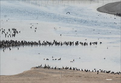 おはよう！南浜名湖 1月7日