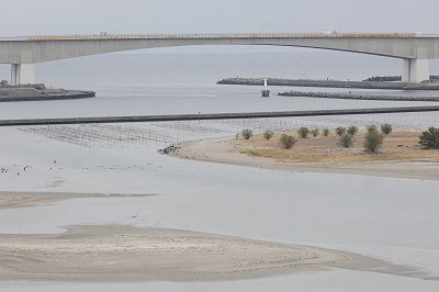 おはよう！南浜名湖 1月15日