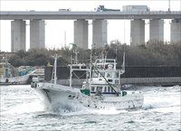 舞阪港トラフグ漁　大海のチャカ船　報神丸