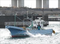 舞阪港トラフグ漁　大海原の妙将丸