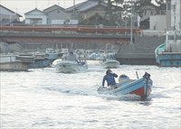 産地南浜名湖　あさり漁出漁