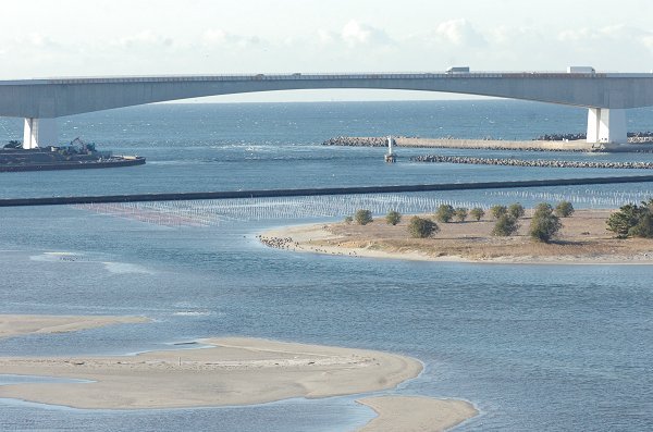 おはよう！南浜名湖 2月15日 春めく浜名湖　風波の海