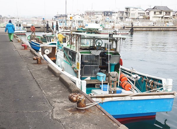 舞阪漁港トラフグ漁最終日　「おわったよ！」俊栄丸の俊さん船長