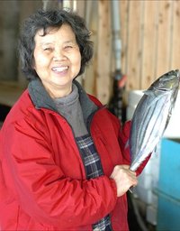 舞阪モチガツオが買える店　丸ごと一本買うなら丸小水産