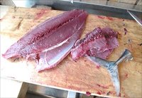 舞阪モチガツオが買える店　さばいた半身で買える中一水産