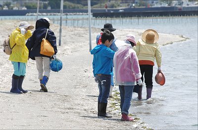 いかり瀬南岸の観察　舞阪の自然を守る会