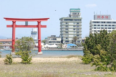 いかり瀬南岸の観察　舞阪の自然を守る会
